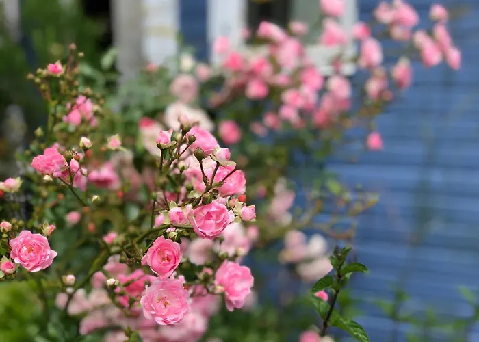 Vakantiehuis Blaue Pause - Hygge-Haeuschen Mit Garten Und Kamin Langballig